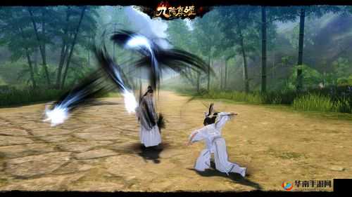 九阴真经 X88888：震撼江湖的神秘武学