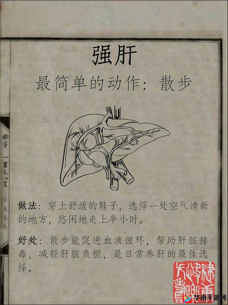 办公室强肝:最终谁最厉害揭晓