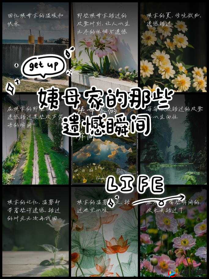 在姨母家的遗憾中豆瓣：那些错过的时光