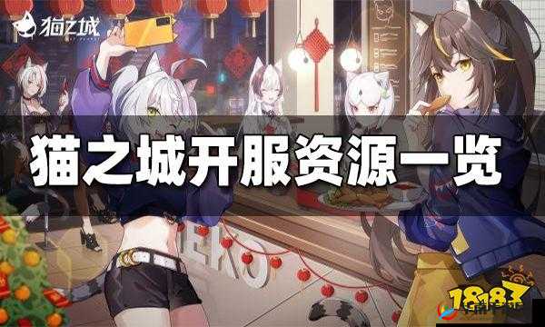 猫之城开服资源大礼包，详解开服可获取资源览