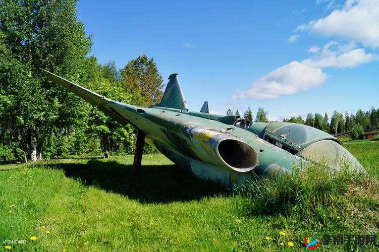 仙林踪 cosmetology 大陆探秘之旅