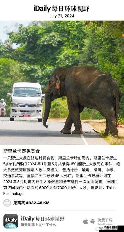 满 18 周岁点击转入 2024 大象：相关内容