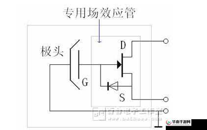 咪头怎么越吃越大怎么变小：探秘其原理与应对方法