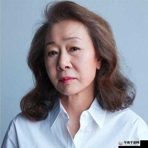 沈阳尹老太太事件的全面复盘