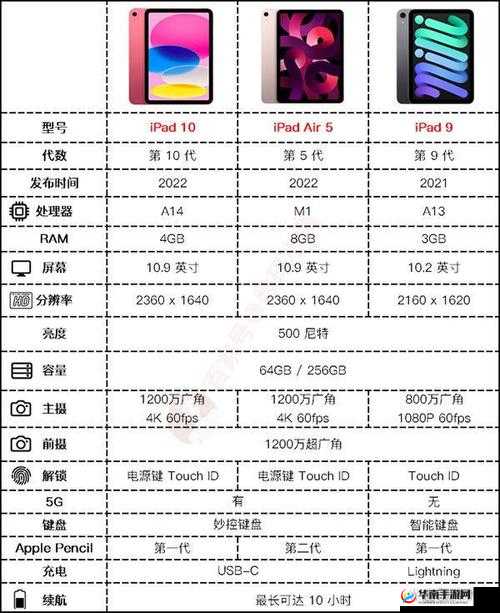 狗 Zoom 和人类 Zoom 哪个好之对比探讨