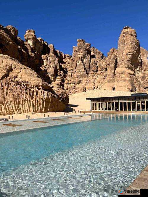 老狼老狼芦苇芭蕉：神秘的自然密码