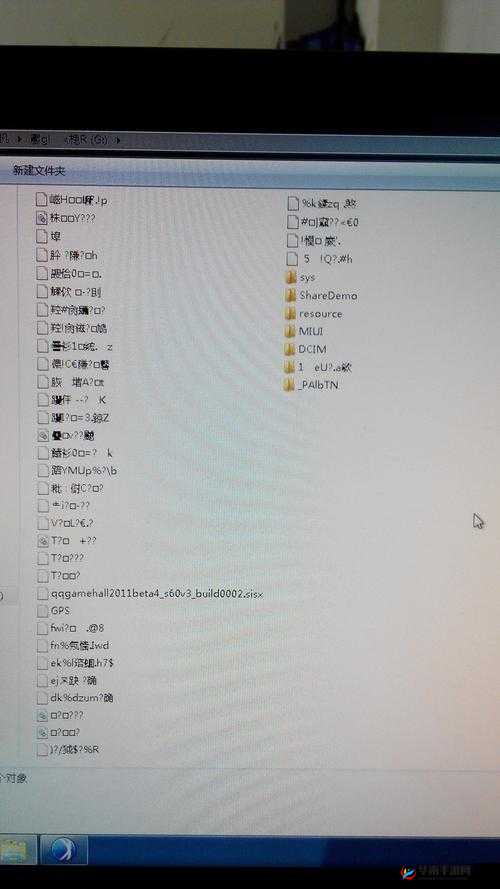 无人区一码卡二卡三乱码：神秘现象解析