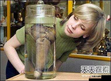 欧美 VPSWINDOWS 性另类：探索未知的世界