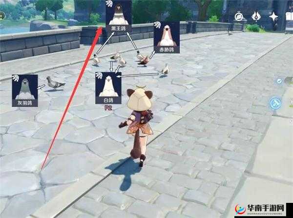原神方方之网黑王鸽捕捉攻略:揭秘最佳捕捉位置分享