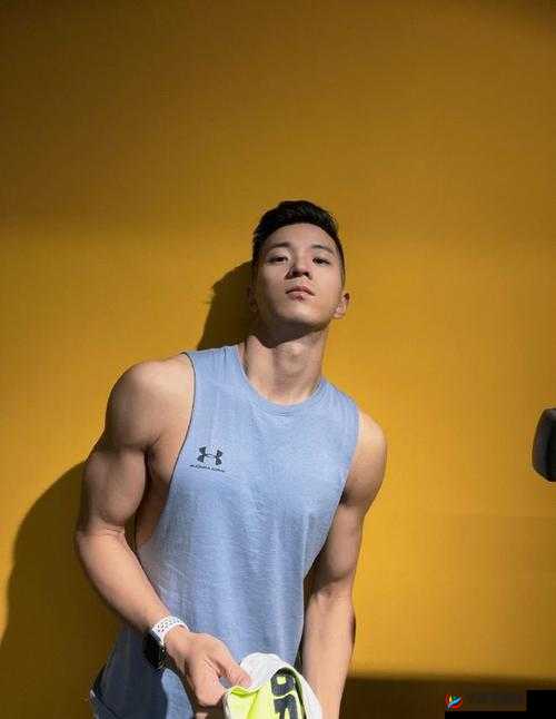 宏翔小蓝与gary 宏翔比较之异同