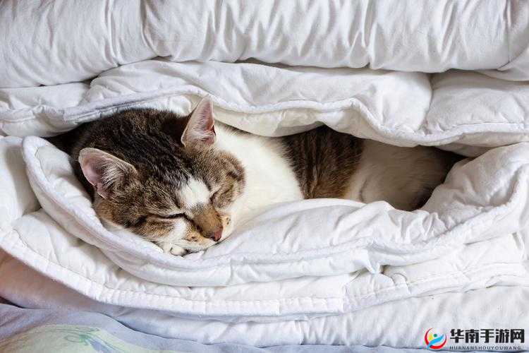 睡觉感觉有一股很强的吸力：原因何在