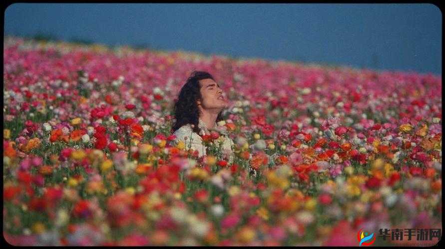 一个黑白 MV 里面有很多经典：令人难忘的影像之旅