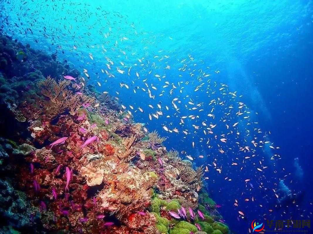 铜铜钢铿锵锵锵锵锵锵好多少水的奇妙之旅