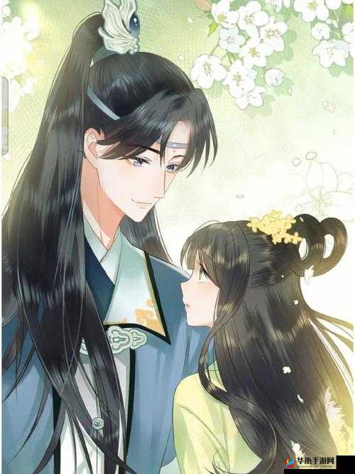 首辅大人 1v2 沈兮风：惊心动魄的权谋对决