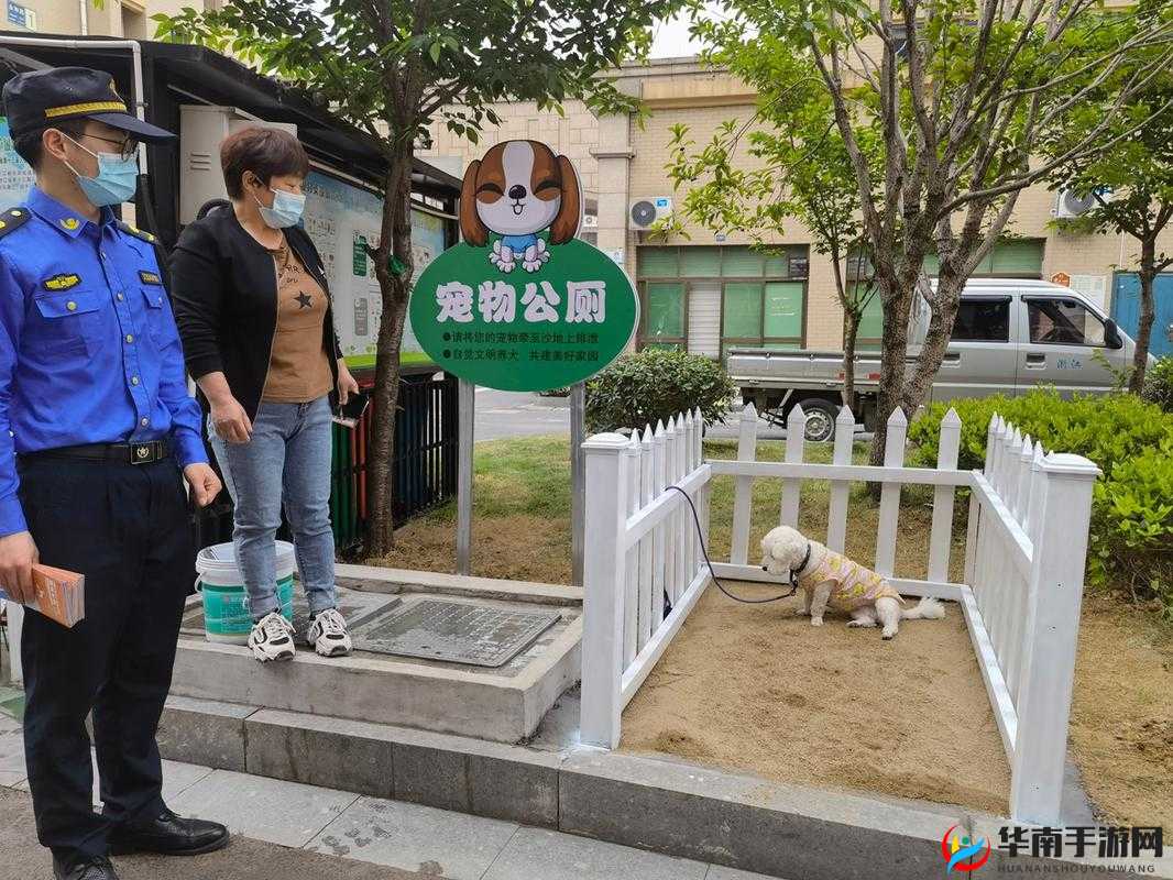 高中班级宠物移动公厕：新奇的校园设施