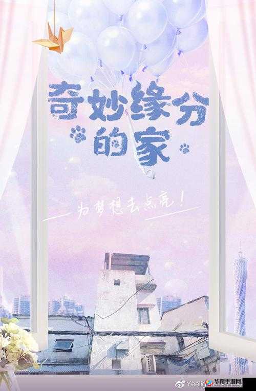 静静的极限改造日记：我的华丽变身之旅