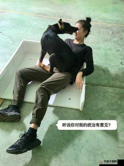 玩人狗大战的实现方法：人与狗的趣味互动