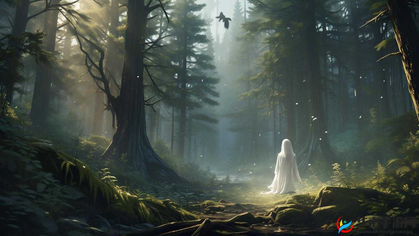 秘密入口 3 秒自动转接连接:带你探索未知世界