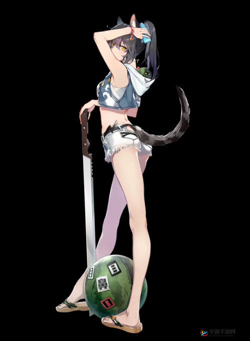 《猫之城》雷鬼节奏:独特节奏魅力,深入了解其魅力