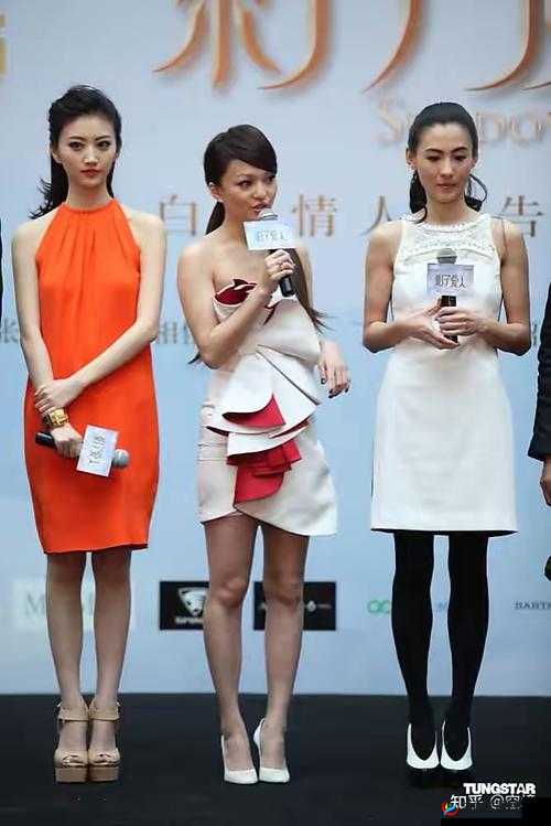 张柏芝范冰冰：两大美女的星光之旅