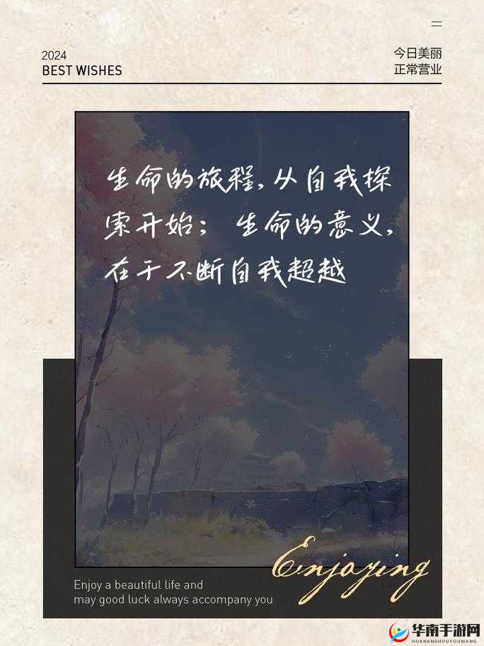 怎样让双方都达到巅峰:探索成功路径