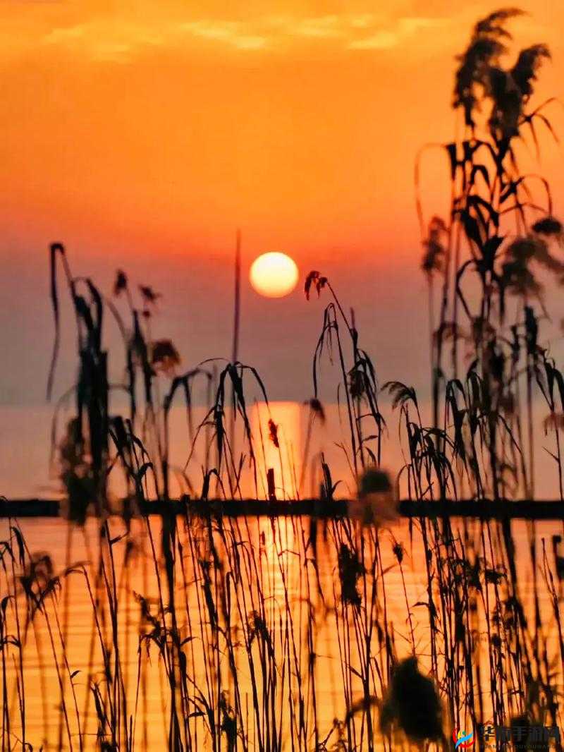 暮色酒歌：沉醉在那诗意的暮色中