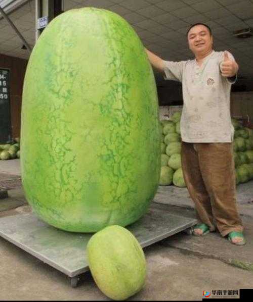 51 今日大瓜-热门大瓜之深度揭秘