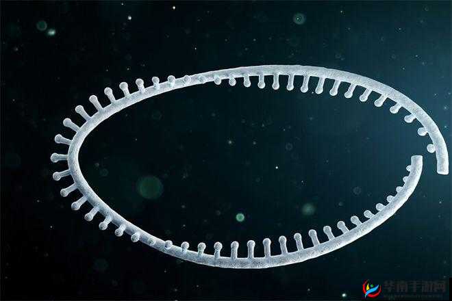 神奇的大分子 RNA