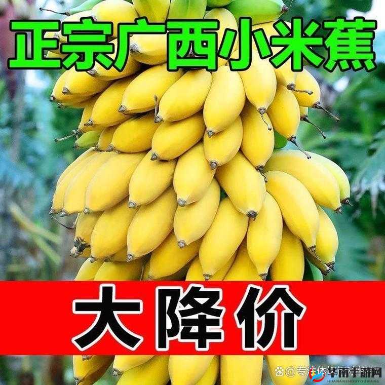 国产香蕉和进口香蕉价格大揭秘：你知道哪个更划算吗？