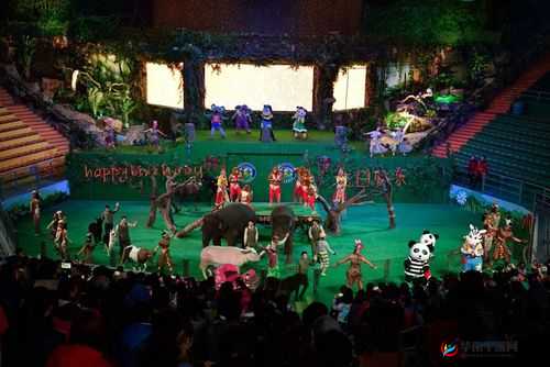 伊利园伊利 2023 大象的奇妙之旅