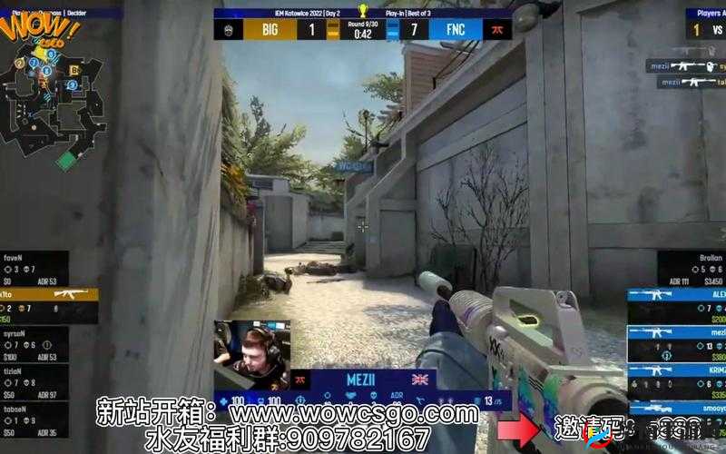 俄罗斯卖 CSGO 的网站免费进入：真的吗