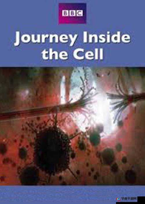 JY 改造系统人阮甜：神秘的科技之旅