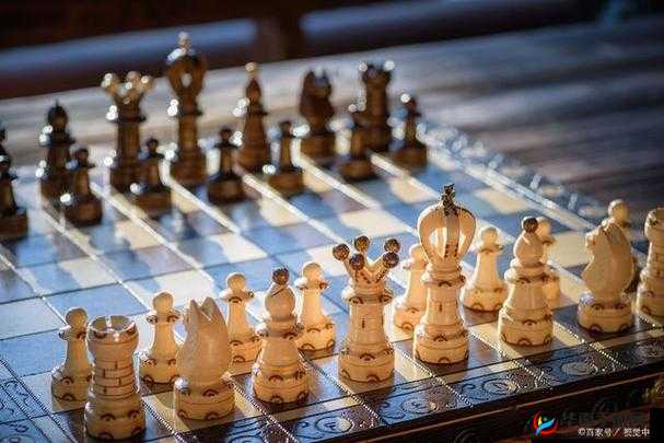 探索国际象棋的魅力：场智慧的竞技之旅