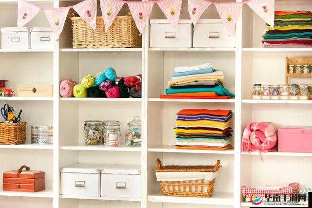 《夏日气息的收纳艺术：解锁《收纳物语》第9关的秘诀》