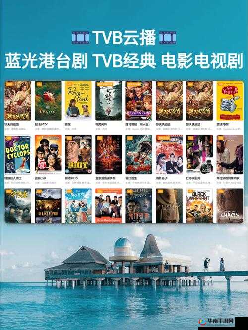 国际免费 b 站：畅享海量精彩资源