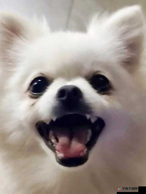 我听到你哼哼唧唧笑我干嘛