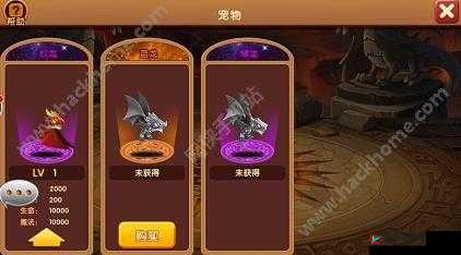 想知道在幻想地城怎样才能拥有心仪宠物吗快来瞧瞧