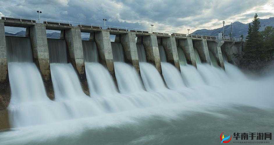 大 BW 毛毛多巨大 BW 大 BW：独特魅力呈现