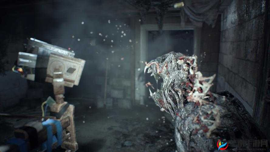 《生化危机7:卧室DLC的隐藏趣味细节大揭秘》