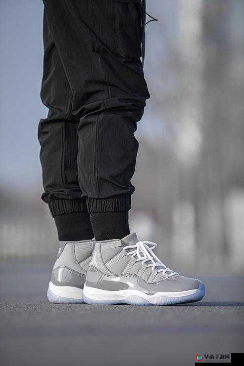 aj11 体育生的独特魅力与风采