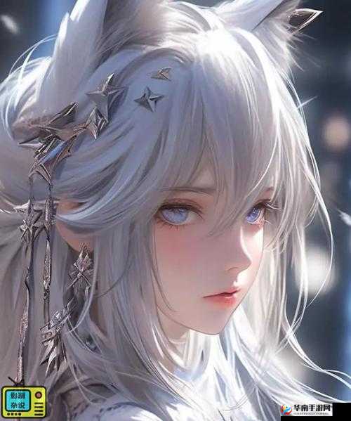 暗卫营大型 HPN:震撼登场