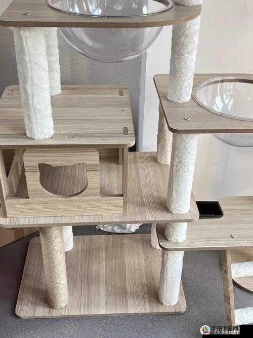 网红撸猫馆的猫爬架安装及猫窝配置指南