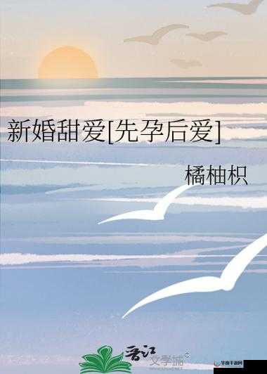 婚动人心先孕后爱：开启别样爱情之旅