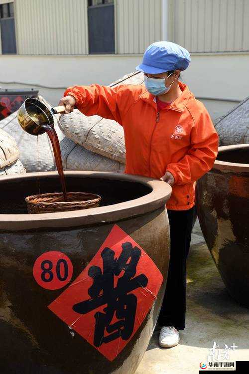 在办公室酿酿酱酱：一场独特的体验