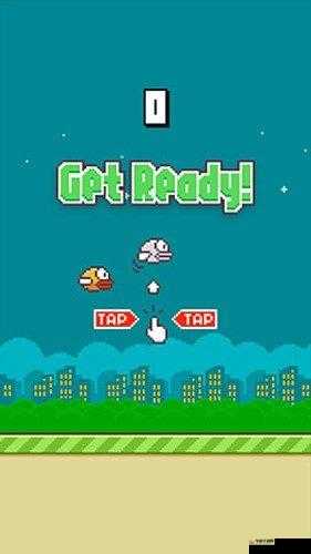 Flappy Bird 高分攻略：轻松突破最高分的终极秘籍