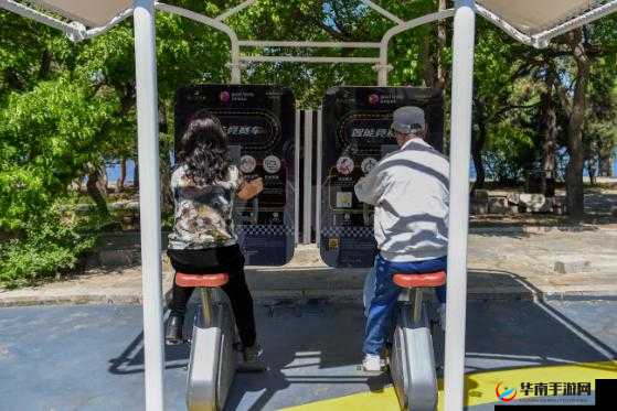 出租房里的交互高康张:他们的故事