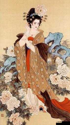 丰裕纵满杨玉环 2588：揭秘其背后的故事