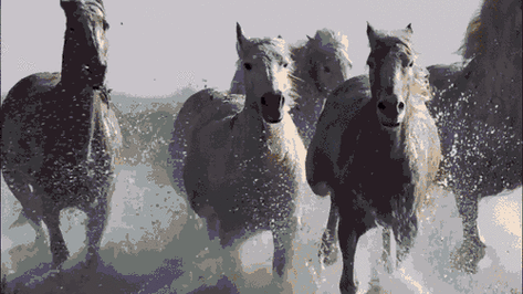 王府惩教养日常木马：有趣的故事