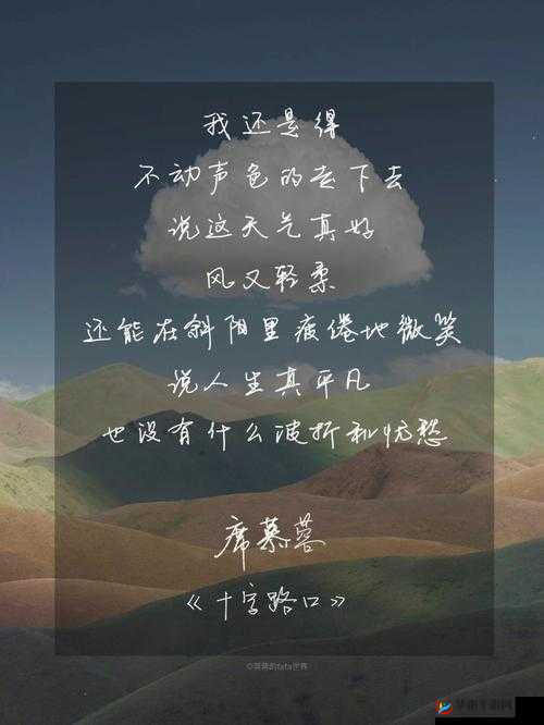 三叶草的春天：青春的美好与哀愁