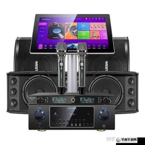 伊春园 2025 入口直达音响：打造极致音效体验